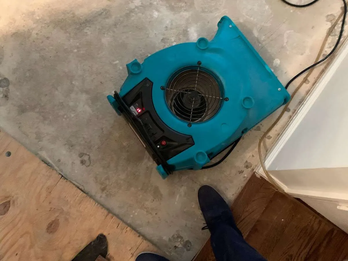 Air mover drying subfloor during Leak Detection & Repair in Seven Oaks